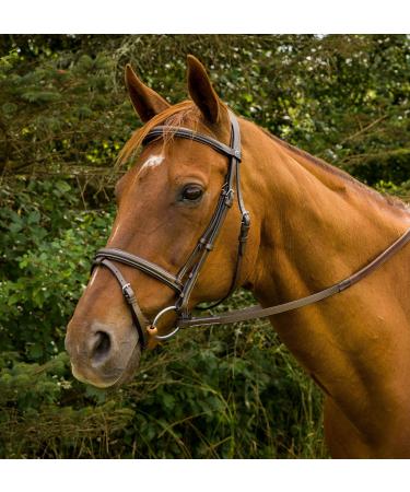 Henri de Rivel Plain Raised Bridle with Flash Havana Cob