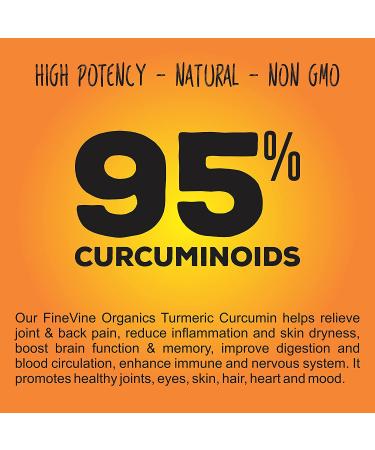 Turmeric Curcumin with BioPerine, Black Pepper & Ginger - 120 Capsules - Made in USA - Cardiovascular, Joint & Anti Aging Support - Buy Online on GoSupps.com