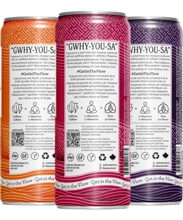 Wa samama Organic Cold Brew Guayusa | Non-Sparkling Natural Energy Drink Alternative | Cold Brew | Sample Pack | 355ml (Pack of 3) | Naturally Sweetened with 35 Calories Per Can | 142mg Caffeine 3 355 mL - Buy Online on GoSupps.com