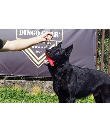 Dingo Gear Cotton Nylon Bite Sausage for Dog Training | IGP IPO Obedience & Protection | 15x5 cm - Orange - Buy Online on GoSupps.com
