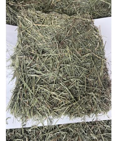 Timothy Hay for Small Pets Hay for Rabbits Hay for Guinea Pigs Hay for Chincilla Hay 2nd Cut Timothy Hay Hay Bale Compressed Hay Box of Hay - Buy Online on GoSupps.com