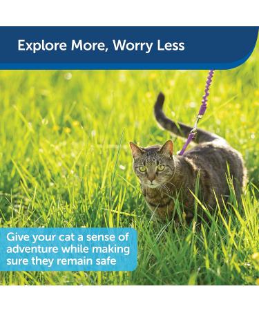Buy PetSafe Come with Me Kitty Harness & Bungee Cat Leash - Medium Purple Lilac for Comfortable Outdoor Adventures - International Shipping Available - Buy Online on GoSupps.com