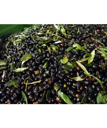 Organic Virgin Olive Oil 1 L Cold Pressure - Buy Online on GoSupps.com