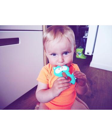BPA-Free Raccoon Teething Ring & Pacifier | 7 Colors | Safe Chewing Toy for Babies - Buy Online on GoSupps.com