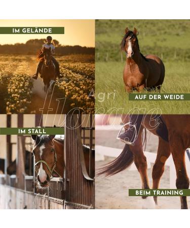 Florage Equitan Insect Spray 3L Canister - Natural Fly Mosquito & Tick Protection for Horses & Riders | Vegan Essential Oil Formula - Buy Online on GoSupps.com