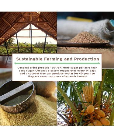 Big Tree Farms Organic Coconut Sugar - Vegan, Gluten Free, Paleo, Kosher Certified | Cane Sugar Alternative for Baking, Non GMO, Low Glycemic, Unrefined, Fair Trade | 1 lb Golden Sugar - Buy Online on GoSupps.com