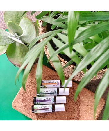 Now Foods Organic Eucalyptus Roll-On 13 fl oz - Certified Essential Oil Relief - Buy Online on GoSupps.com