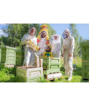 Nordmel Pure Natural Soft Honey 2 KG (8 * 250 gram Cups) - Unpasteurised Unfiltered Crystallized Natural Honey - Buy Online on GoSupps.com