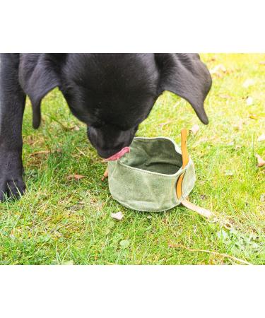 Buust Travel Dog Bowl - Foldable Waxed Fabric Water Bowl in Green - 1L Capacity for On-the-Go Dogs - Buy Online on GoSupps.com