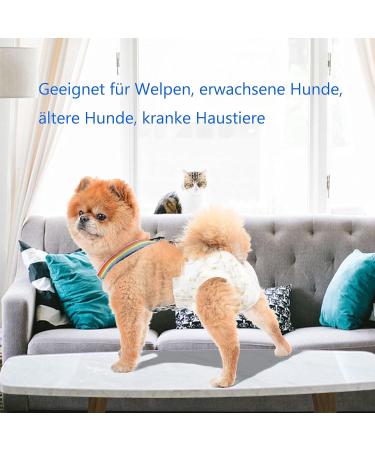 Buy 2-Piece Dog Diaper Trousers & Harness - XL Rainbow & Blue for Female Dogs | Pet Clothing & Belly Straps - Buy Online on GoSupps.com
