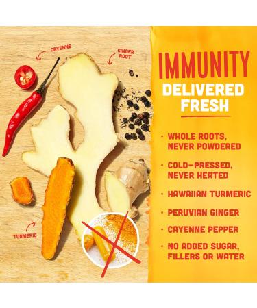 Vive Organic Immune Support Shot - Cold-Pressed Ginger Turmeric & Cayenne - Gluten-Free Vegan - 2 Fl Oz (Pack of 12) - Buy Online on GoSupps.com