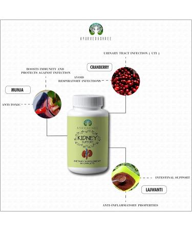 AYURVEDASHREE Kidney Support Herbal Supplement - Supports Healthy Kidney Function Vegan Gluten-Free - Each Caplet of 1000 MG - Buy Online on GoSupps.com