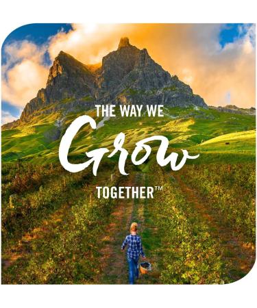 Nature's Way Sambucus Immune* Elderberry Syrup with Echinacea Zinc & Vitamin C 4 Oz (Pack of 2) - Buy Online on GoSupps.com