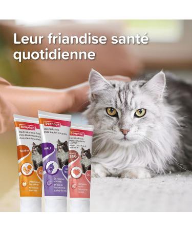 BEAPHAR Multivitamin Paste with Taurine and Omegas for Cats Food Supplement Promotes Shiny Coat Strengthens the Cardiac System and Visual Acuity 100 G Tube - Buy Online on GoSupps.com