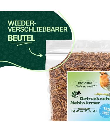 Blumixx Jan-Pet Premium Mealworms 2kg - Dried Bird Feed for Wild Birds Hedgehogs Squirrels Hamsters & Fish | All-Year Nutrition - Buy Online on GoSupps.com