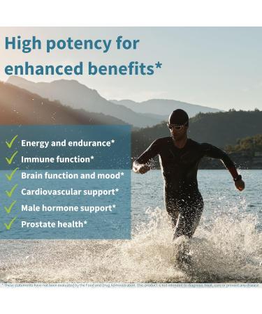 Multivitamin & Minerals for Men + High Absorption Curcumin C3 Complex Vegan Bundle Sustained Release Advanced Multivitamin + 300% Greater Absorption Curcuminoids with Rapid Uptake by Igennus - Buy Online on GoSupps.com