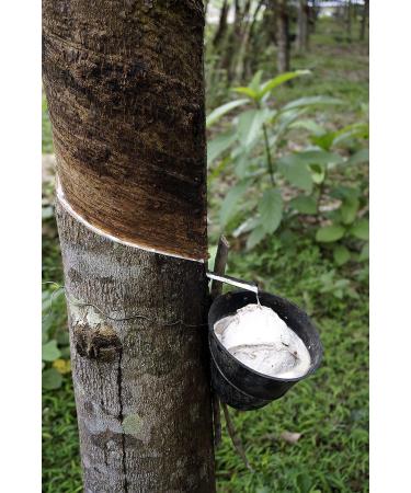 SWEETIE Natural Rubber Pacifier - Rounded Light Pink Medium (6-12 Months) - Buy Online on GoSupps.com