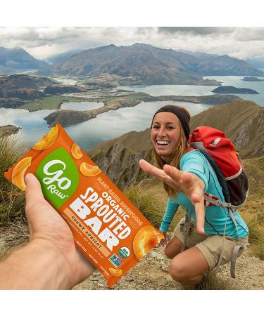 Go Raw Apricot Flaxseed Seed Bars - Organic, Vegan, Gluten-Free Snacks (30 Large Bars) - Buy Online on GoSupps.com