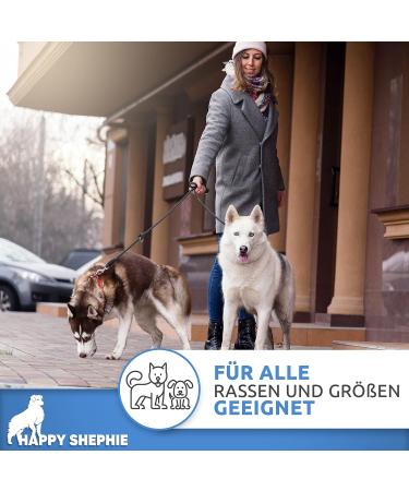 Happyshephie Adjustable Dog Leash 2.5m - Durable Reversible Leash for Medium & Large Dogs - Steel Gray - Buy Online on GoSupps.com
