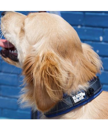 Black Rhino Comfort Collar - Super Soft Neoprene Dog Collar for All Breeds | Adjustable Reflective & Weatherproof | Medium Sports Blue/Gray - Buy Online on GoSupps.com