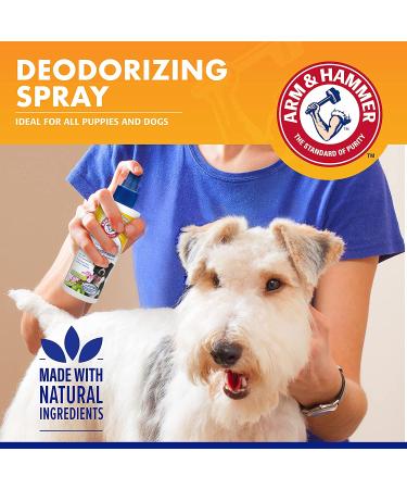Arm & Hammer Super Deodorizing Spray for Dogs - Fresh Kiwi Blossom Scent - 6.7 oz | Odor Eliminator for All Dogs & Puppies - Buy Online on GoSupps.com