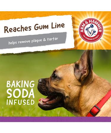 Arm & Hammer Treadz Dental Toy for Strong Chewers - Small Gator - Buy Online on GoSupps.com