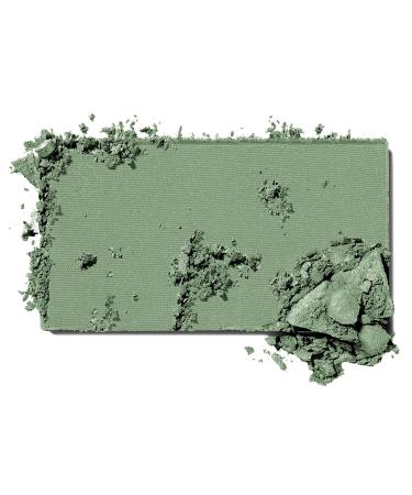 Maybelline New York Expert Wear Eyeshadow Forest Green - 0.09 Ounce - Buy Online on GoSupps.com