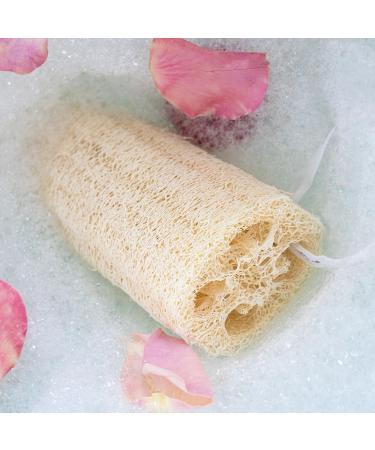EcoTools Loofah Body Sponge - Exfoliating Body Scrubber for Men & Women - 3 Pack, Vegan & Cruelty-Free - Buy Online on GoSupps.com