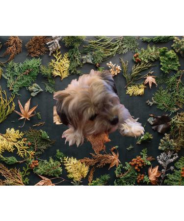 Roqsy Natural Chicken Dog Treats 300g - 100% Grain-Free Jerky Snack | BARF-Approved Dog Food Supplement - Buy Online on GoSupps.com