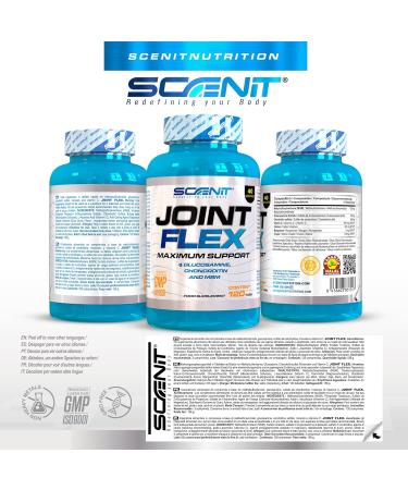 Glucosamine Chondroitin MSM - Joint Flex - 120 tablets - Chondroitin Glucosamine - Glucosamine Chondroitin MSM Complex - Glucosamine Chondroitin Complex - Painful Joints - Buy Online on GoSupps.com