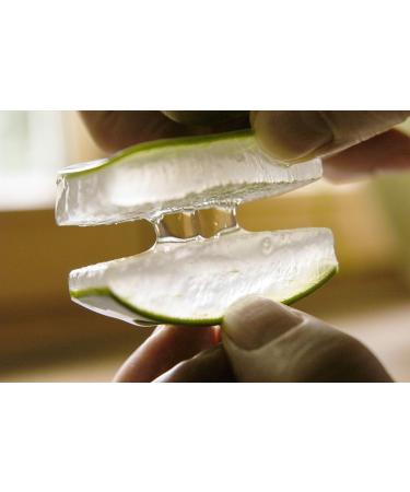 Pharmos Natur Intensive Eye Liposome - 20ml | Premium Facial Care for Radiant Eyes & Lips - International Shipping - Buy Online on GoSupps.com