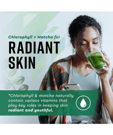 360 Nutrition Matcha Chlorophyll Drops with L-Theanine - Gut Health Support & Energy Boost - Vegan, Gluten-Free - 60 Servings - Buy Online on GoSupps.com