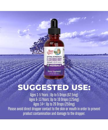 MaryRuth Organics Elderberry Syrup Extra Strength USDA Organic Elderberry Sugar Free Adults & Kids Immune Support Supplement for Ages 1+ Clean Label Project Verified Vegan Gluten Free 2 Fl Oz 1 Fl Oz (Pack of 1) - Buy Online on GoSupps.com