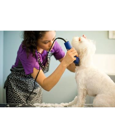 Andis UltraEdge Super 2-Speed Detachable Blade Clipper for Professional Animal Grooming - AGC2 Blue - Buy Online on GoSupps.com