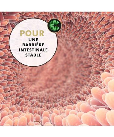 Peticare Cough Powder for Horses | Airways & Colds Support | Promotes Mucus Dissolution | Natural Herbal Powder Formula | No - Buy Online on GoSupps.com