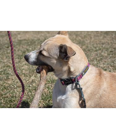 OllyDog Mountain Leash | Climbing-Inspired Rope Dog Leash 5ft | Padded Handle | Dog Accessories - Buy Online on GoSupps.com