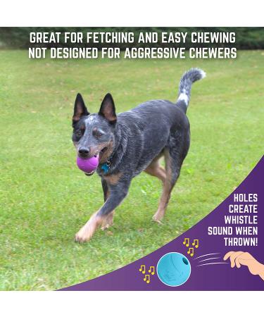 Chew King Fetch Balls Pack of 3 - Durable Dog Toy Balls - Buy Online on GoSupps.com