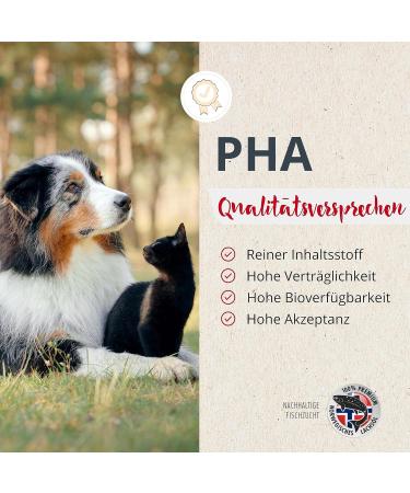 PHA Salmon Oil for Dogs Cats & Horses - Omega 3 & 6 Fatty Acids | 500ml Sustainable Norwegian Fish Oil - Buy Online on GoSupps.com