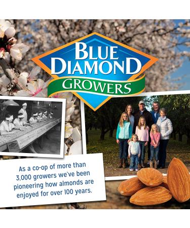Blue Diamond Salt N' Vinegar Almonds - 16 Oz Resealable Bag (Pack of 1) - Buy Online on GoSupps.com