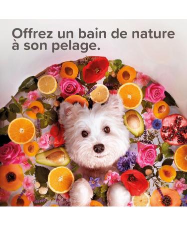 BEAPHAR ECOCERT-certified Eye Cleansing Lotion for dogs and cats Contains Cornflower Witch Hazel Rose and Organic Floral Waters Neutral pH Paraben/silicone/dye/alcohol free 100 ML - Buy Online on GoSupps.com