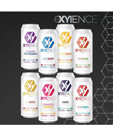 XYIENCE Energy Drink Frost Berry Blast 16oz (Pack of 12) - Sugar Free, Zero Calories, Natural Flavors, Vitamin Fortified - Buy Online on GoSupps.com