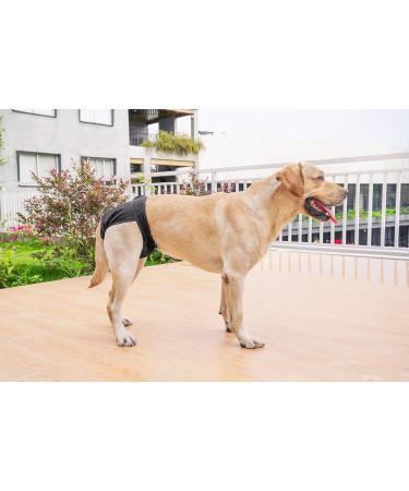 Petmia Washable Dog Diapers - Hygiene Underpants for Dogs in Heat | 5 Sizes (XS to XL) | 3-Pack Beige Black Purple - Buy Online on GoSupps.com