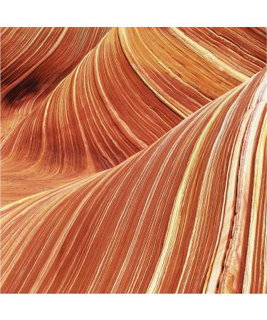 Curve Men's Deodorant & Fragrance Body Spray - Spicy Wood Magnetic Scent 6 Oz - Buy Online on GoSupps.com