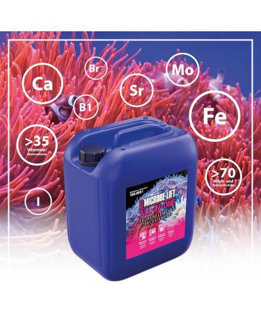 Microbe Lift All-in-One 5000 ml | Complete Coral Solution for Seawater Aquariums | Promotes Growth Colors & Essential Trace Elements - Buy Online on GoSupps.com