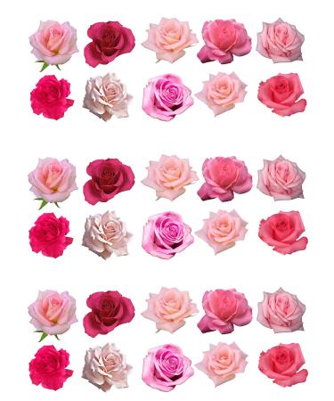 TOP Marques Collectibles Edible Birthday Cake Decorations with Pink Flower Motif - Pack of 30