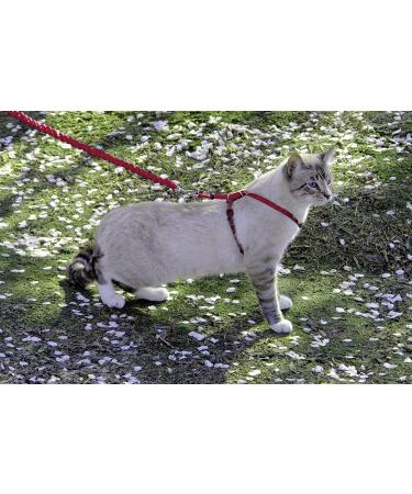 PetSafe Easy Walk Cat Harness - Size S Red | Elastic Bungee Leash for Comfortable Cat Walking | International Shipping Available - Buy Online on GoSupps.com