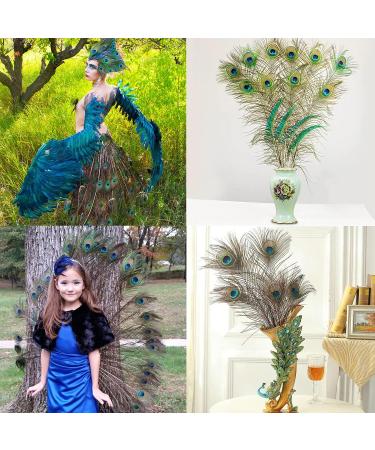 Larryhot Natural Long Peacock Feathers - 40pcs 23-28 - Ideal for Floral Arrangements, Weddings, Home Decor, and Party Decorations - Buy Online on GoSupps.com