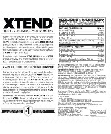 Scivation XTEND Original BCAA Powder - Sugar-Free Muscle Recovery with 7g BCAA 2.5g L-Glutamine - Glacial Grape 90 Servings Glacial Grape 90 Servings (Pack of 1) - Buy Online on GoSupps.com