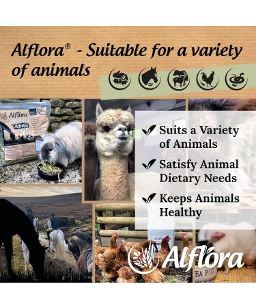 Alflora Organic 1KG Approx Premium Ryegrass Meadow Hay Original - 100% Natural - 10% Protein Fibre and Nutrient Rich Everyday Use Hay or Chaff - For Rabbits Gerbils Hamsters Guinea Pigs Unfavoured 1 count (Pack of 1) - Buy Online on GoSupps.com