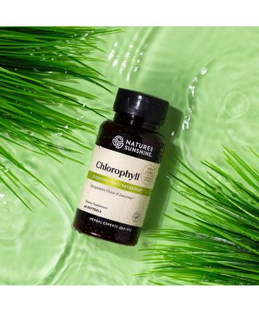 Nature's Sunshine Chlorophyll Softgel Capsules - 60 Count | Pure & Natural Supplement - Buy Online on GoSupps.com